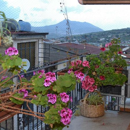 B&B Jolly House Bolognetta エクステリア 写真